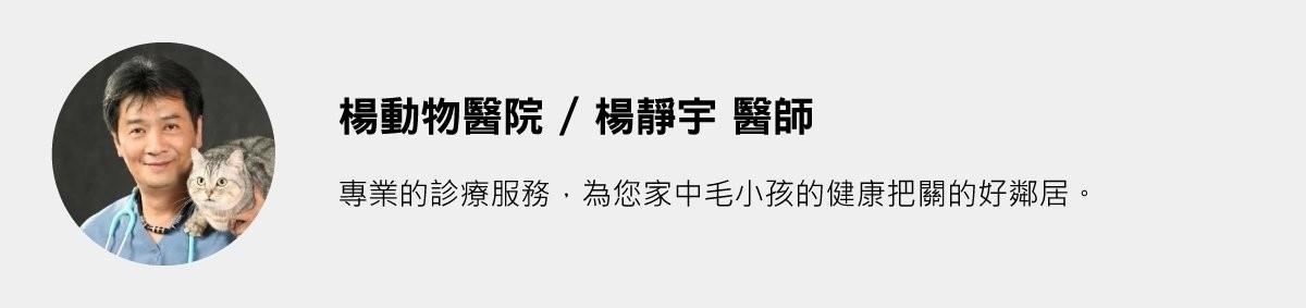 醫師資料 楊靜宇