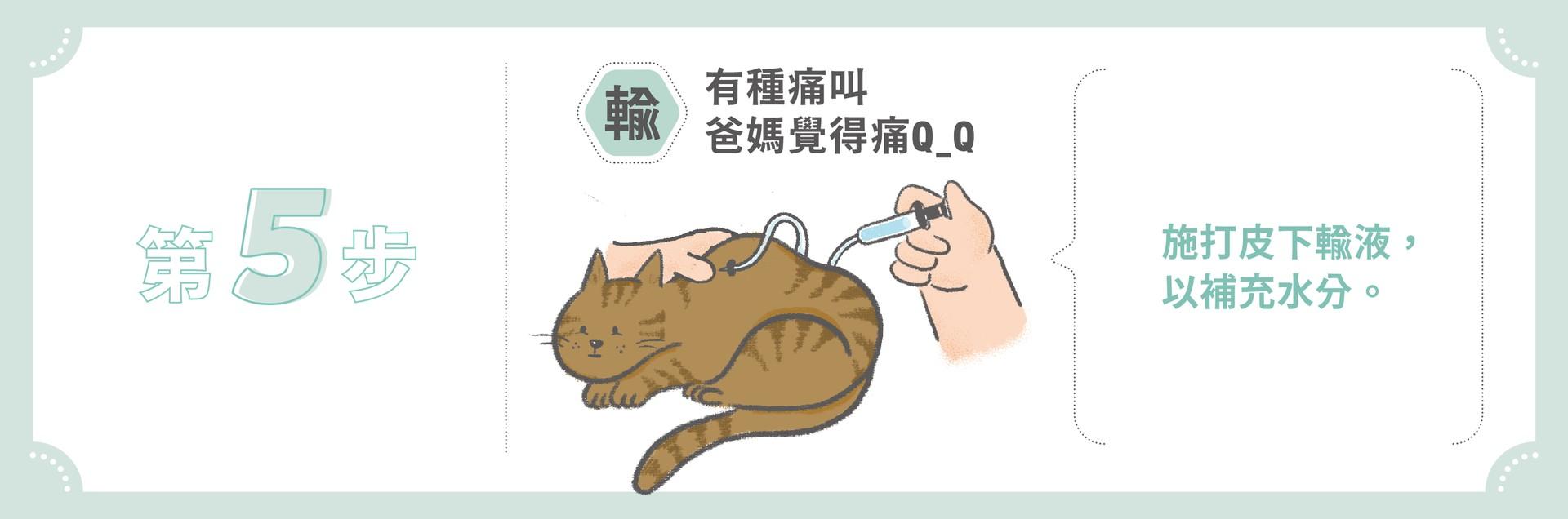 v15 圓融網路版本 02