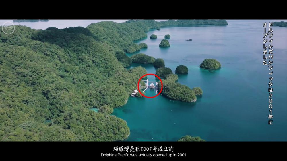 C:UsersappleDesktop窩窩+泛科學文章窩窩窩窩#6-帛琉海豚灣,是海豚的天堂還是地獄使用的圖片海豚灣.JPG