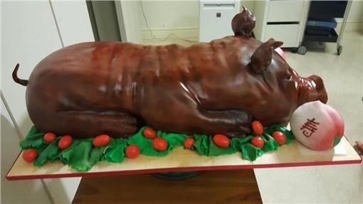 pig cake 01