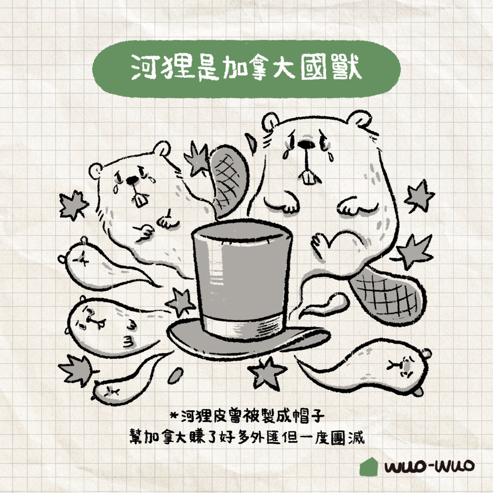 麻雀小秘密 2