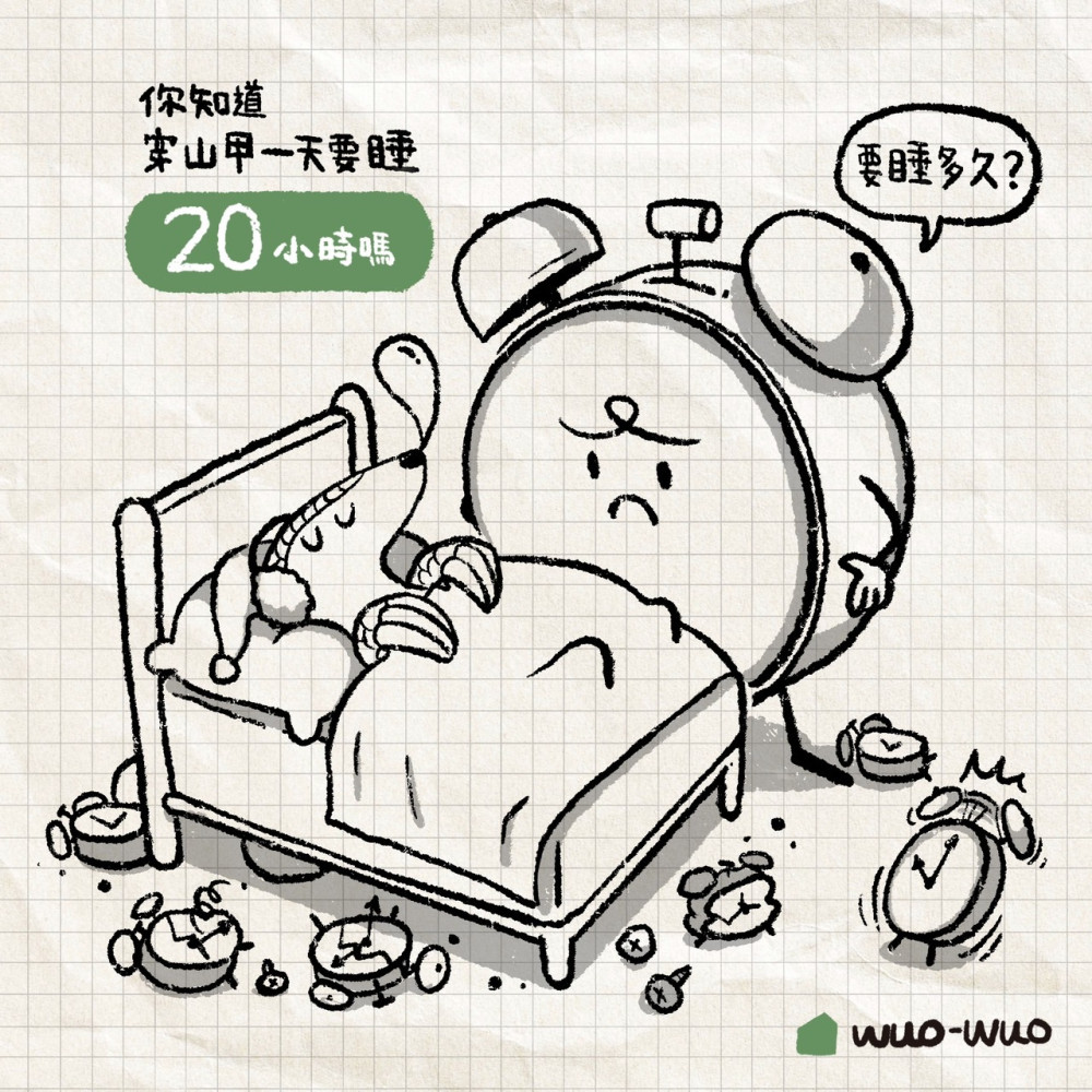 穿山甲的小秘密02