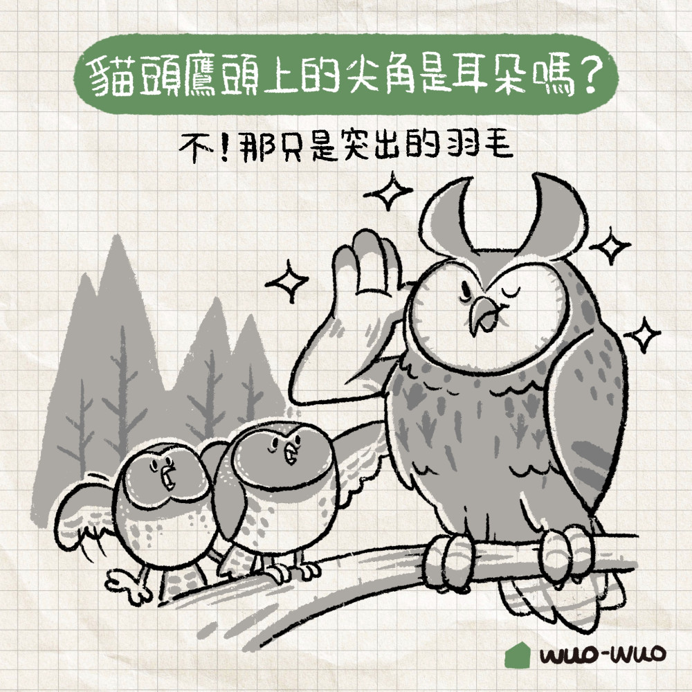 麻雀小秘密 4