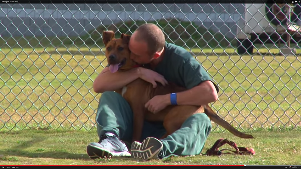 prison dog