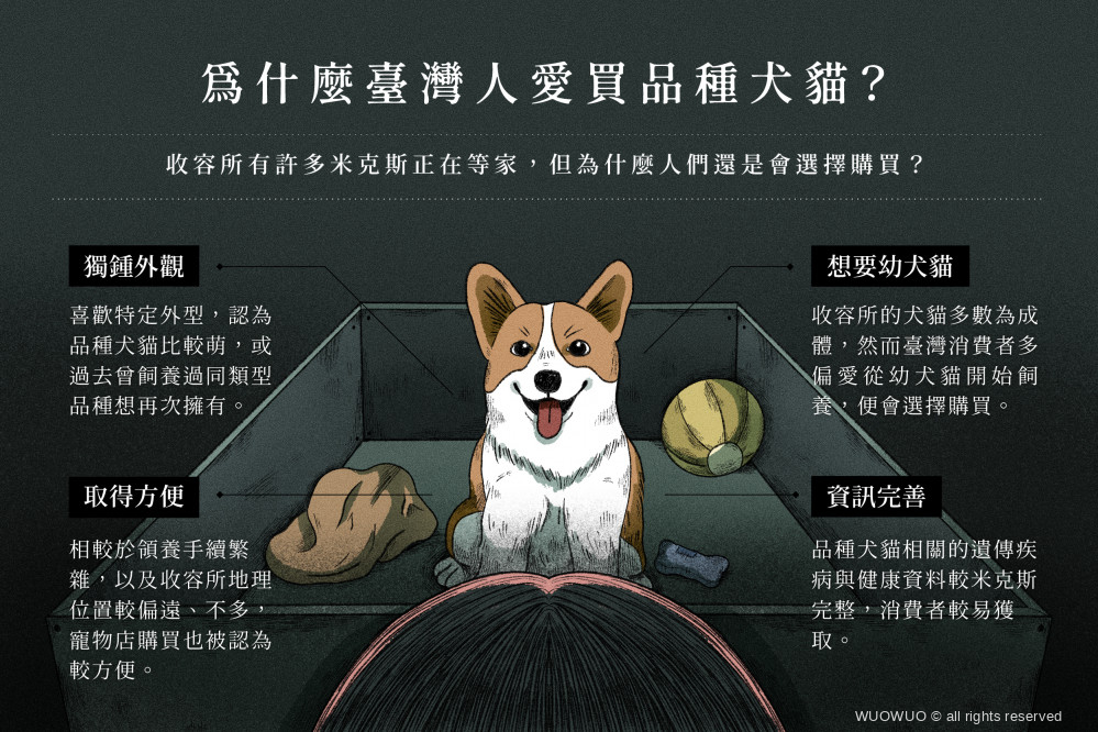 品種犬貓 懶人包 完稿 02