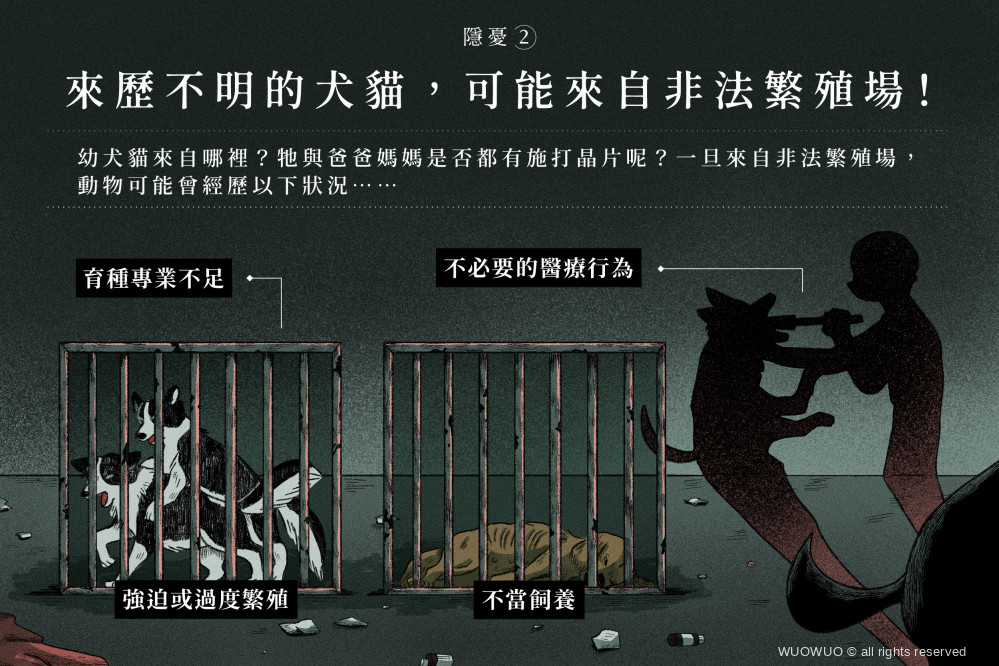 品種犬貓 懶人包 完稿 07