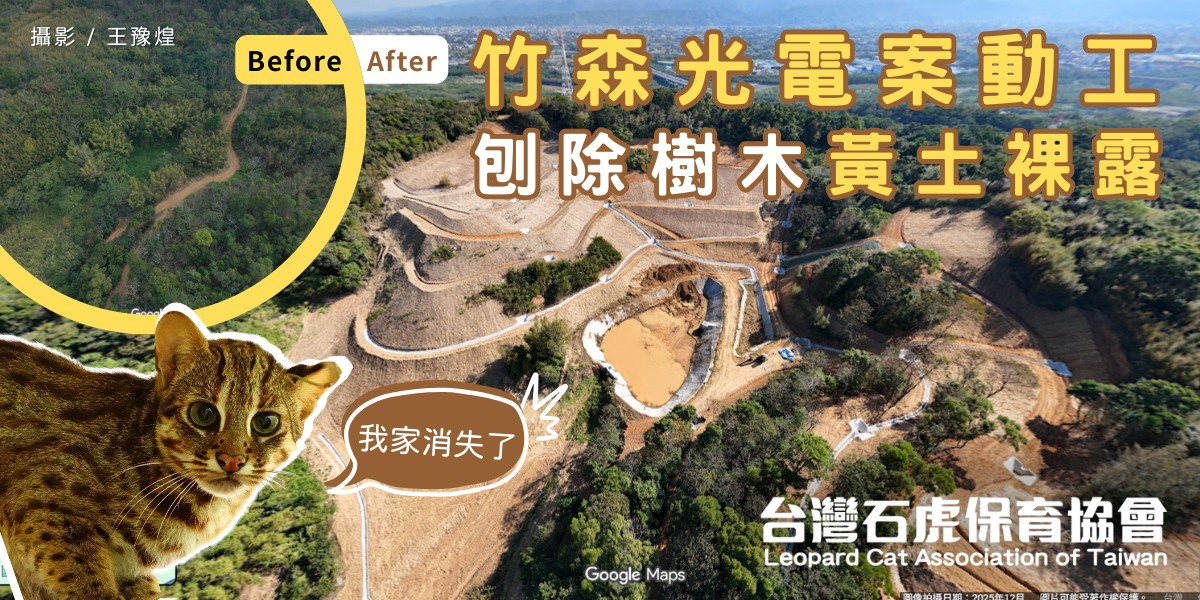 604825110 1179773774272897 3144231647894177155 n