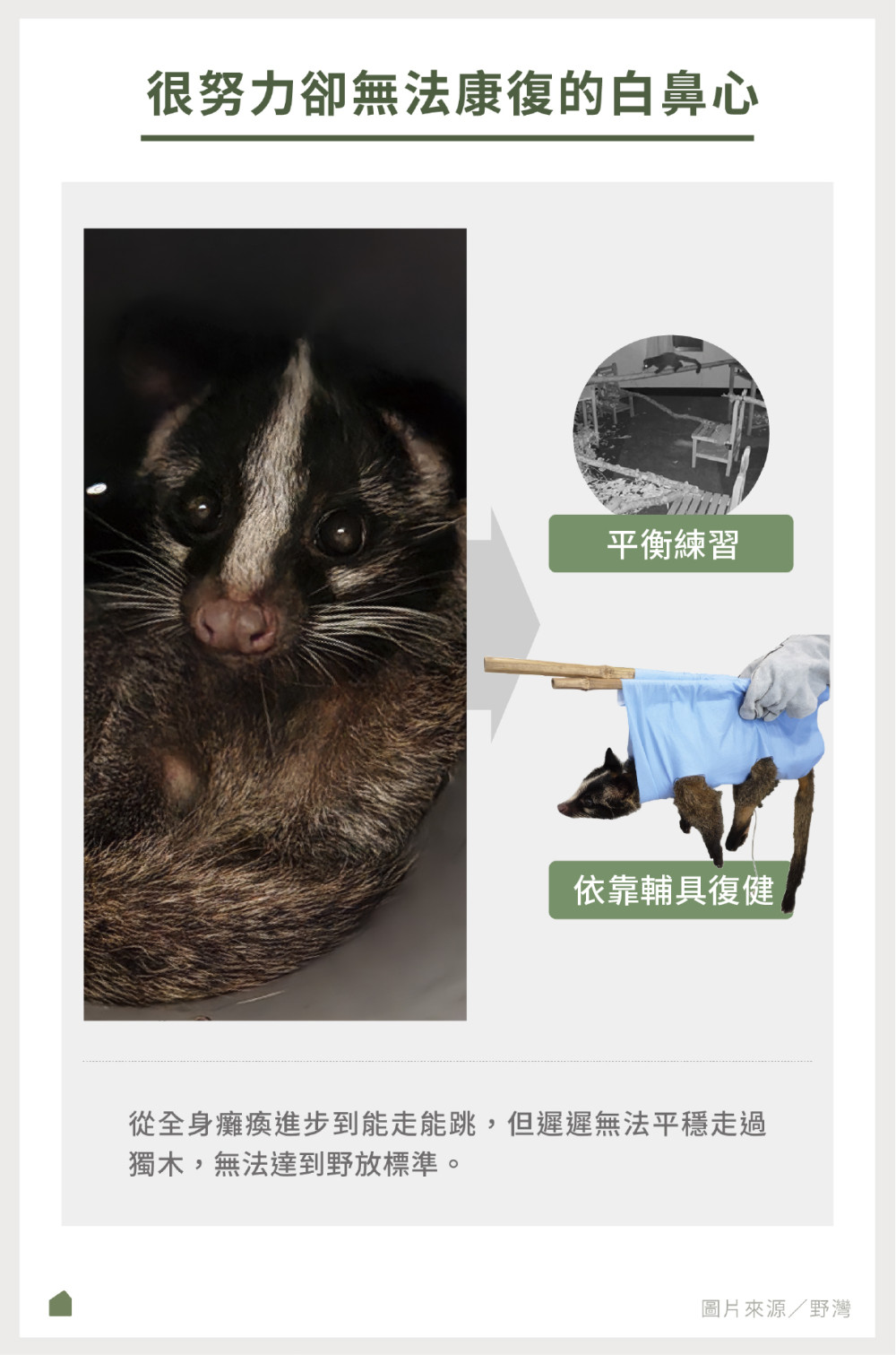 WildlifeEuthanasia201 3