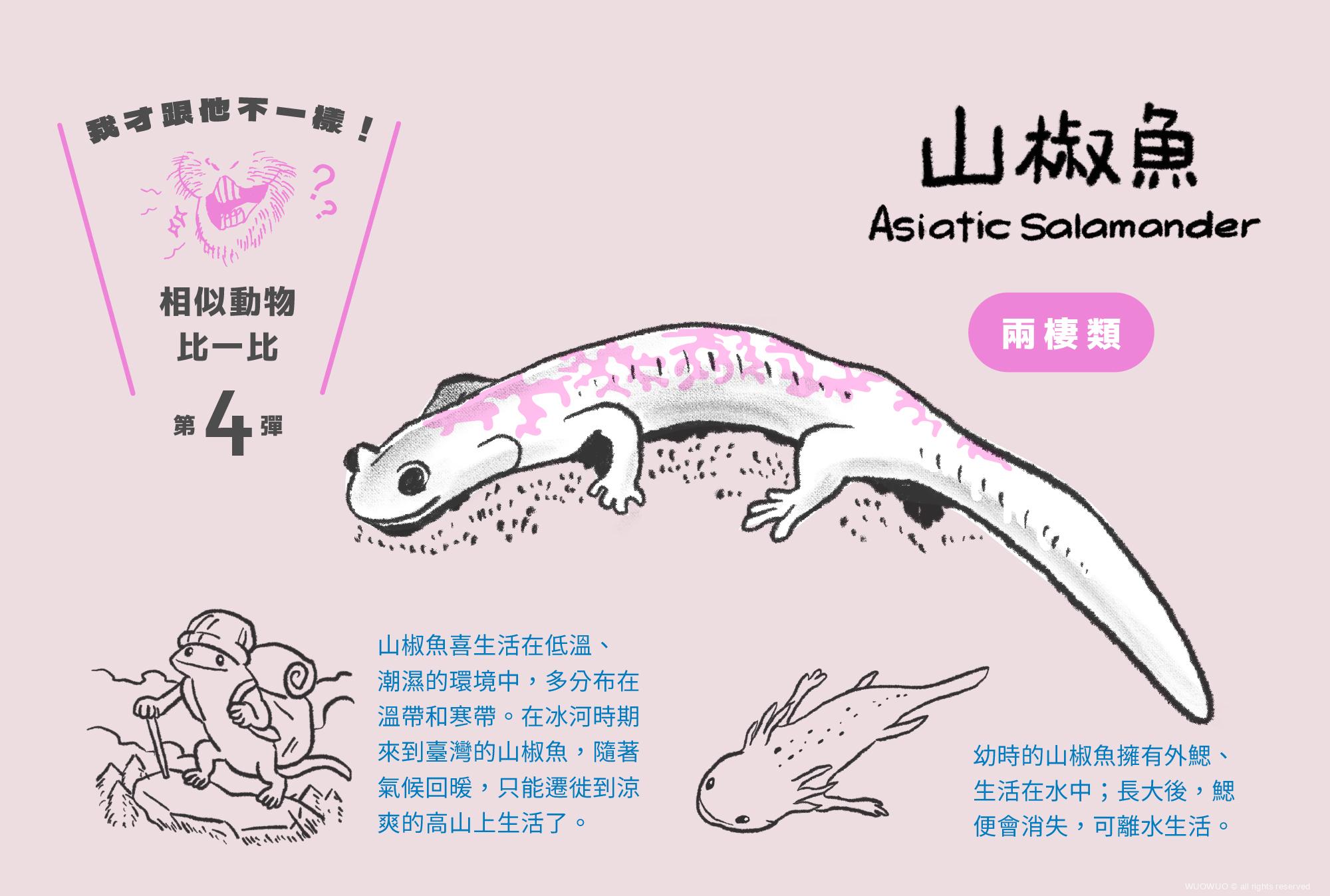 03山椒魚
