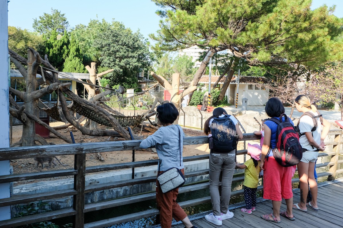 半開放式的猴島曾經發生過猴子跳出來的事件使得後來園方再度將隔離措施加強