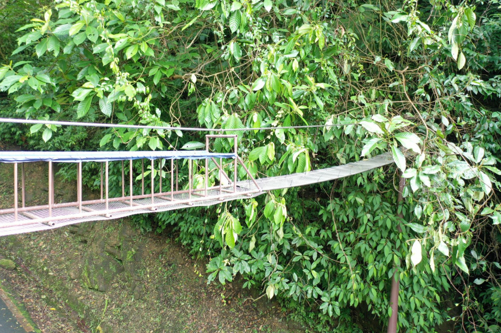 06空中廊道讓動物從空中過路避免路殺