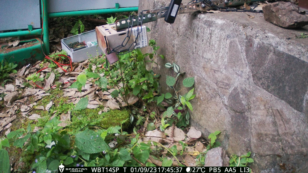 20240614news 00