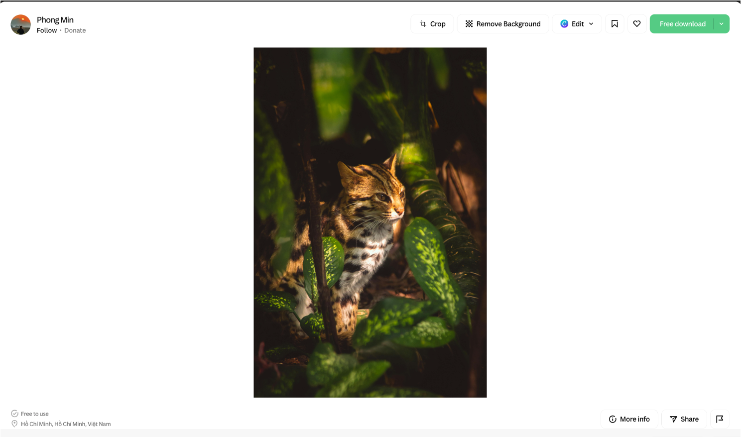 20260408 leopardcat 02