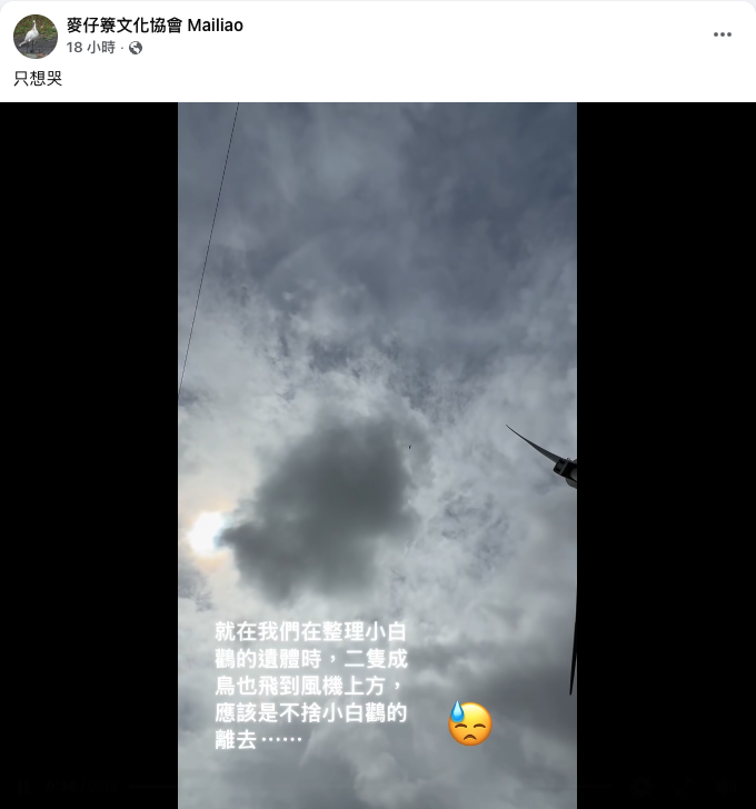 20260603news eagledie