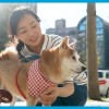 開心或是難過，我們都要一起回家： Hitomi的犬心臟病治療之路