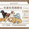 犬退化性關節炎——老了不愛動，不是因為穩重是疼痛！