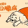 老犬殺手「心臟病」（上）——誰會罹患？怎麼發現？怎麼治療？