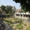 沒有籠子的動物園，圓了誰的夢？從改建後的新竹動物園談起