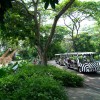 讓人來配合動物——替動物做好準備的新加坡動物園