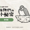 動物冷知識｜家燕小秘密
