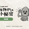 動物冷知識｜烏賊小秘密