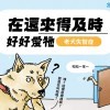 在還來得及時，好好愛牠——飼主必懂老犬失智症