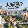 黑冠麻鷺的都市鳥日子（上）——大笨鳥其實一點也不笨！