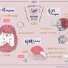 【我才跟他不一樣！】刺蝟？豪豬？還是針鼴？