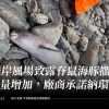 離岸風場致露脊鼠海豚擱淺數增加，廠商承諾納環評