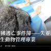 狒狒逃亡事件簿——失靈的野生動物管理專業