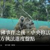 狒狒事件之後，中央修法、地方執法進度盤點（更新：判決結果）