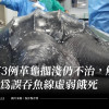 第3例革龜擱淺仍不治，解剖為誤吞魚線虛弱餓死