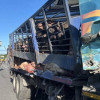 車禍導致4隻豬摔落 車上豬隻更因車損毀遭重壓