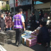 嘉義驚傳虐貓事件 屋內竟藏70多具貓咪屍骸