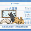 犬瘟熱——高傳染高死亡率，預防遠勝於治療！