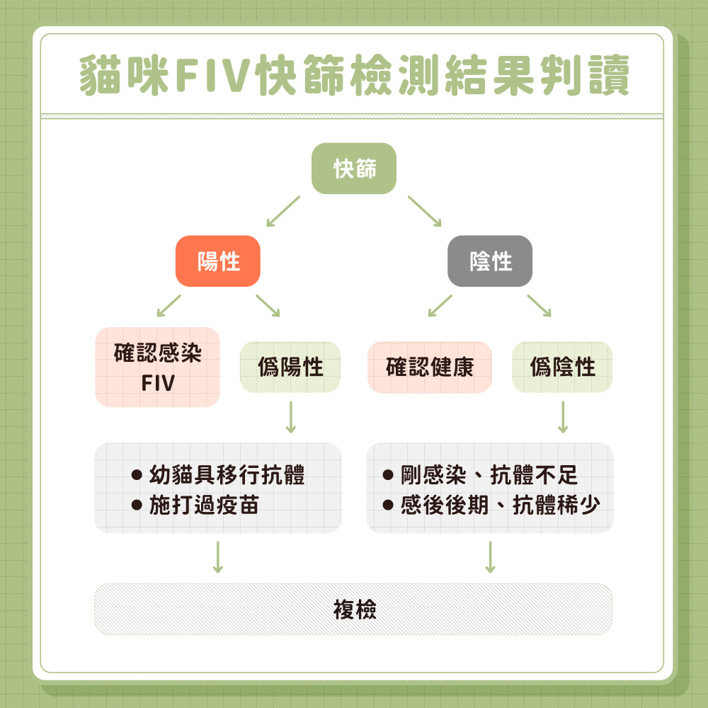 FIV 05