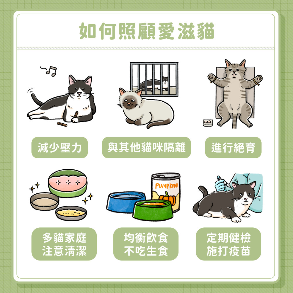 FIV 06