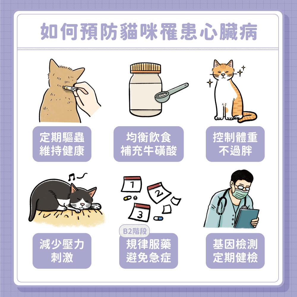 cat heart disease 09