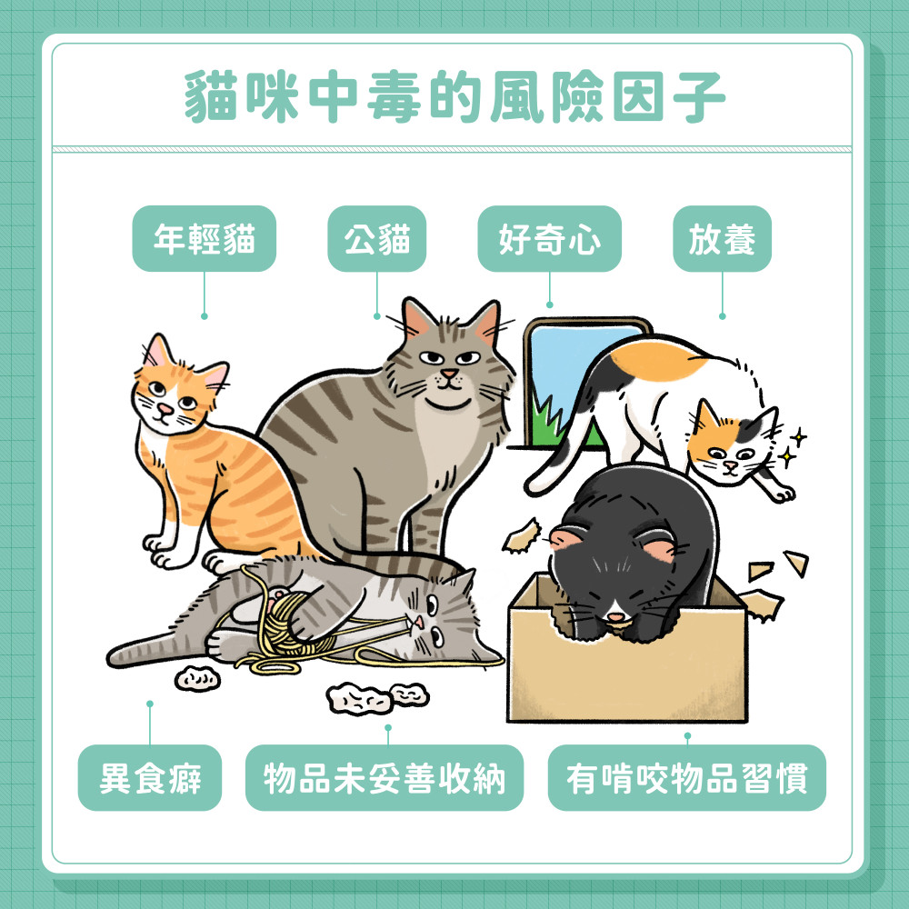 cat poison 03