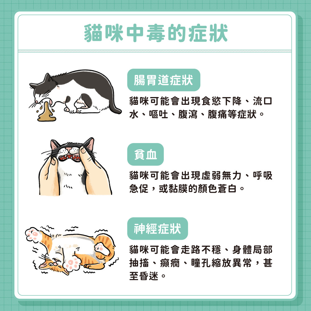 cat poison 04