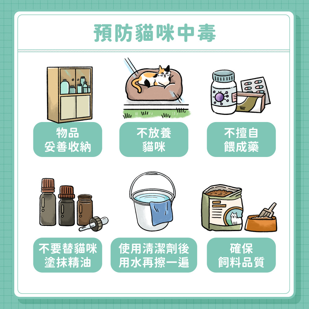 cat poison 06
