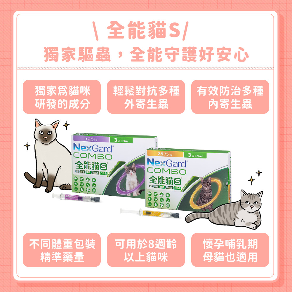 cat tapeworm 09