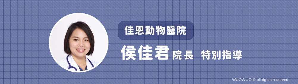 2021 毛孩家庭醫學 犬食物過敏 01