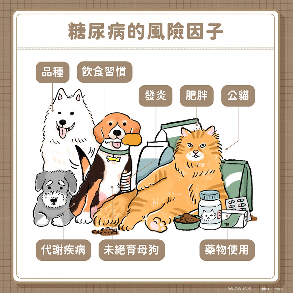 犬貓糖尿病 01