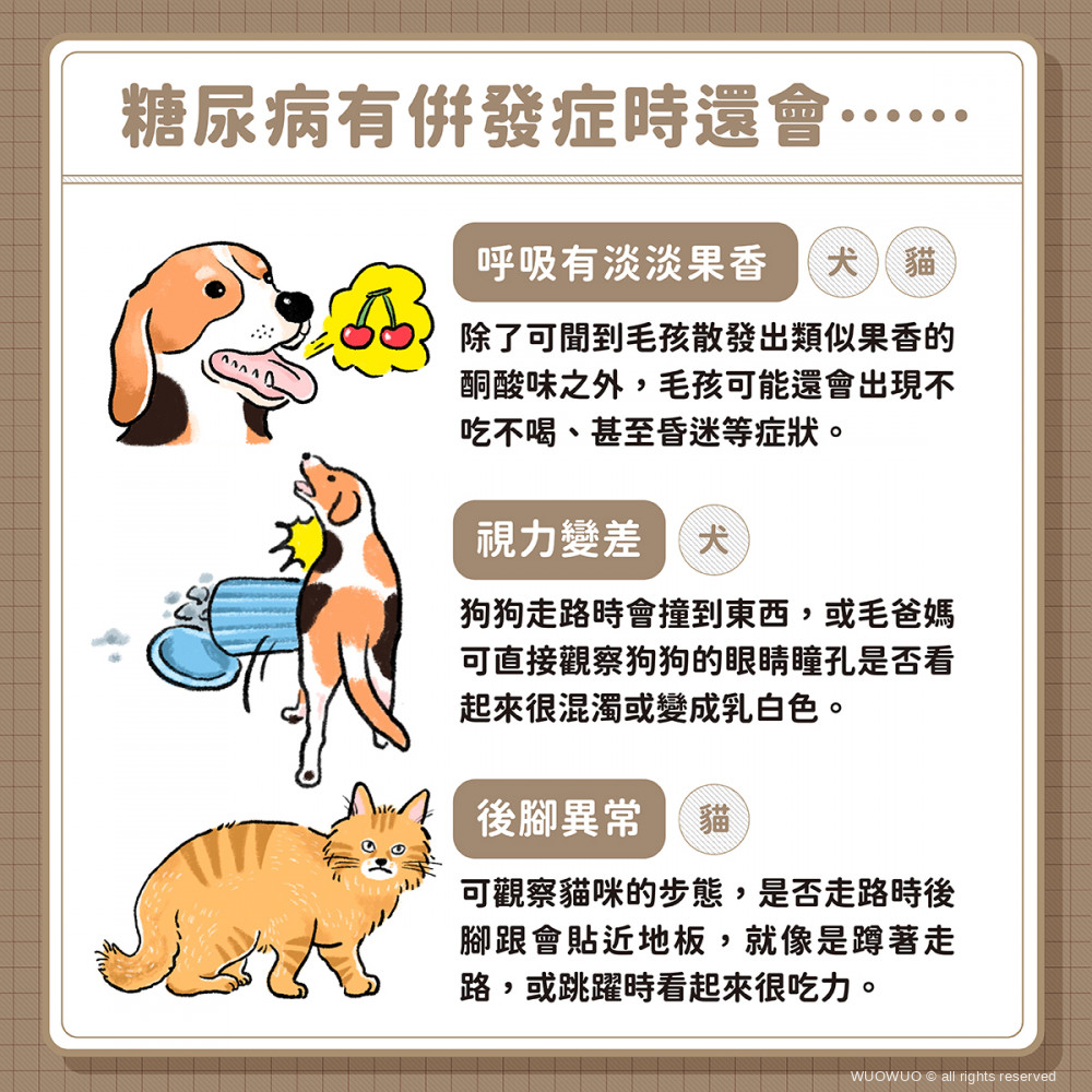 犬貓糖尿病 03