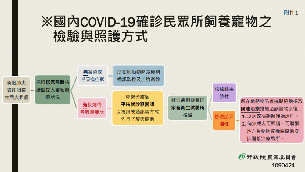 寵物確診流程圖