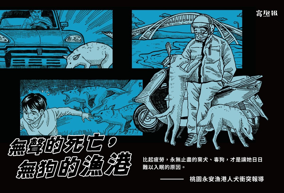 
《人犬衝突》無聲的死亡，無狗的漁港＿桃園新屋餵養人 林欣璉專訪
