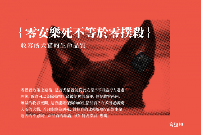 《零撲殺專題#04》零安樂死不等於零撲殺——談收容所犬貓的生命品質