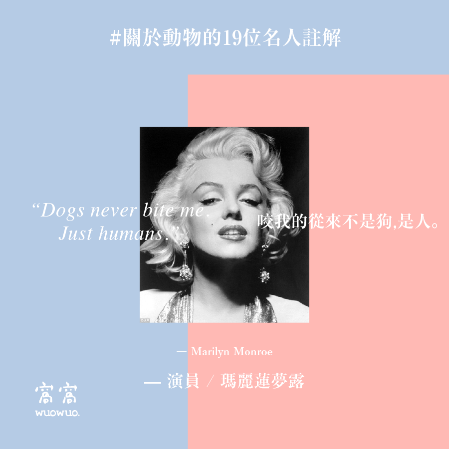 窩名人 02