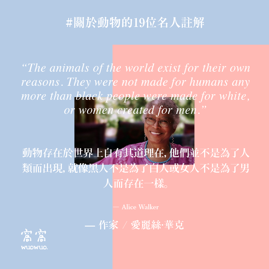 窩名人 10